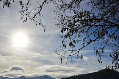 DSC_5835 (Large).JPG